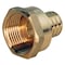 Apollo 1 in. Brass PEX Barb x 1 in. Female Pipe Thread Adapter APXFA11 - alternate 3